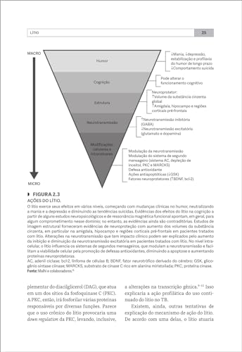Transtorno bipolar no ciclo da vida: a doença e seus espectros Transtorno bipolar no ciclo da vida: a doença e seus espectros - Imagem 2