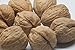 Presto Sales Walnuts Current New Crop huge In shell 10 lbs, Grown in California, Natural Healthy Snack For The Whole Family, Low-Carb, & Easy to Crack Healthy Vegan
