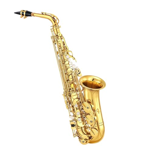 Foyarinal Eb Alto Saxophone Kit for Beginners Complete Student Set with Case Mouthpiece Reeds & Accessories (Golden)