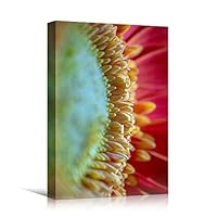 Canvas Wall Art Yellow Petal Close Up Bedroom Close Up Colorful Floral Multicolor Petal Photography Romantics - 12x18 inches