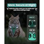 FAYOGOO Cat Harness and Leash Set | Upgrade Step-in Escape Proof Harness | Lightweight Soft Vest, No-Choke Design for Walking, Travel, Camping (Green) - Image 5