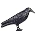 Produktbild MacroHu Rabe Vogelscheuche Kunststoff Rabe Plastik Raben Vogelabwehr Schwarzer Rabe Krähe Taubenschreck Taubenabwehr Balkon Vogelschreck Vogelschutz Tauben Vertreiben Bird Repeller Bird Deterrent