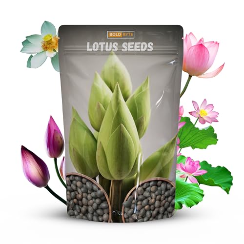 Lotus Seeds - Lotus Seed for Planting in Water | Japanese Rainbow Lotus Flower Seeds, All Season Water Garden Plant, Home and Balcony Growing (10 Pcs)