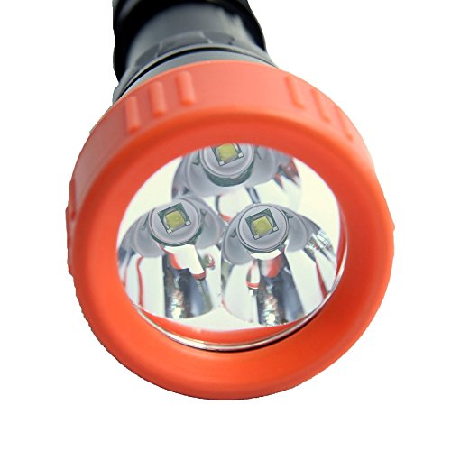 Riff TL 3000 MK3 LED Dive Light Collection 2014 by...