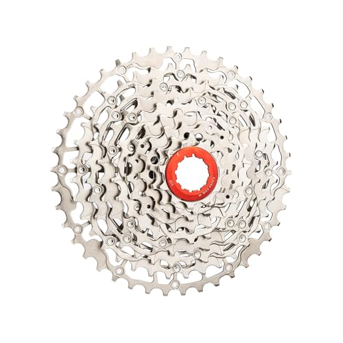 3. x}EeoCNtCzC[ 7 Xs[hXbhJZbggCCfBOⒷcA[pX[YȃVtgoCNt[zC[