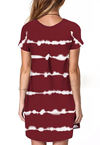 Image of Alaster Women's Casual Summer T Shirt Dress Loose Short Sleeve Tunic Dress with Pocket for Women