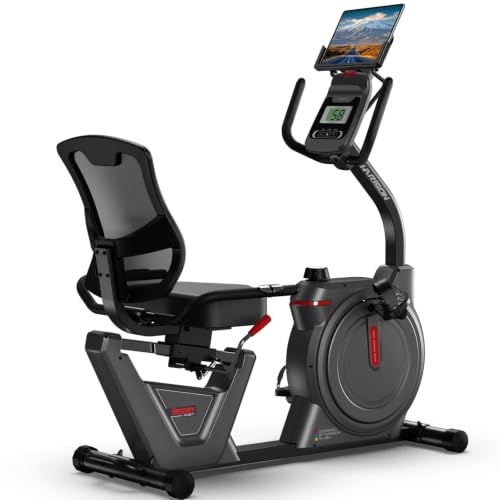 HARISON Recumbent Exercise Bike