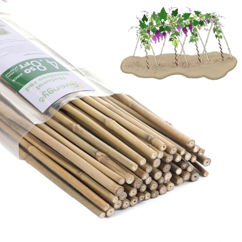 Plant Bamboo Post,5Feet,Bamboo Garden Stakes,50PcsBamboo Stakes,for Tomato,Beans,Vegetable and Flowers, Potted