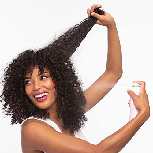 Drybar Hot Toddy Heat Protectant Mist | Treat Before You Heat 4.6 Oz #TOP1