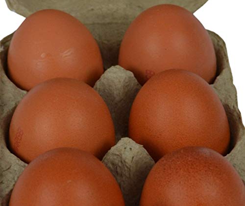 Supa Eierboxen, 24 Stück | Traditionelle Blaue Faser Eierbox | 100% recycelbar und biologisch abbaubar