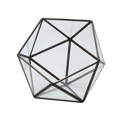 Half Ball Glass Terrarium | M&W - Afbeelding 4