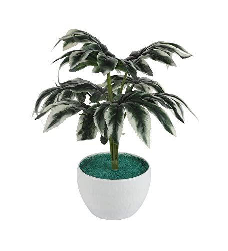Image of FOLIYAJ Real Look Artificial Spidersweb Plant with Pot Bonsai Tree Home Decor for Living Room Office Shop House Gift Decoration 18 cm x 18 cm x 30 cm