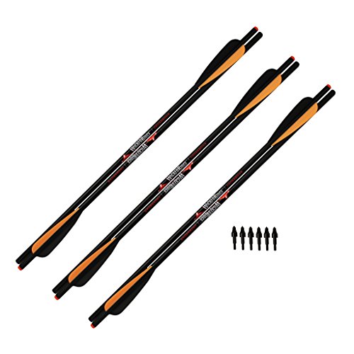 TenPoint Wicked Ridge WRE010.6 Crossbows 20' Aluminum Crossbow Arrows,...