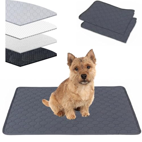 Lifetips m[b`eAiNorwich Terrierj 􂦂ybgV[c ybgV[c 􂦂 2Zbg ~ V[cCh V[g L ۂƐ􂦂 ~}bg ld\ Rh~  ~ ^ ^  p