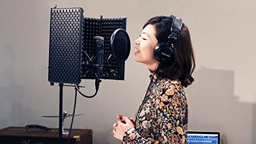 Microfone Condensador TM-280, TEAC