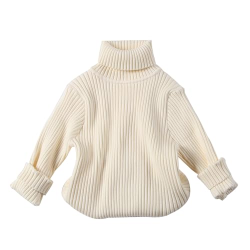 Turtleneck Ribbed Knit Pullover Sweater for Boys Girls Kids High Collar Fall Winter Solid Plain Soft Warm Tops