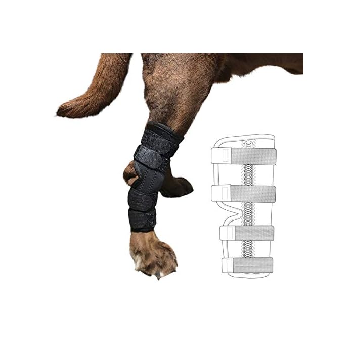 Buy Labra Metal Spring Super Supportive Dog Rear Leg Hock Joint Wrap