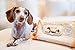 JAX & CALI Pet Wipes, Natural Textured Paw and Body Wipes, Hypoallergenic, pH balanced, Vitamins B3 & E, Soothing Aloe, No Fragrance, Holistic, Cruelty Free, Dogs & Cats, Extra Large 8