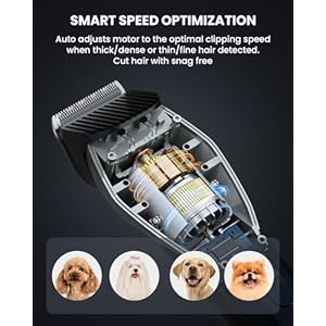 Dog Care Smart Dog Clippers Cordless Dog Grooming Clipper Kit with Heatproof Blades Led Display 3 Speeds Auxiliary Light Rechargeable Heavyduty Professional Pet Hair Trimmer Shaver for Dog Cat  Cucciolini Doodles Dog care smart dog clippers cordless dog grooming clipper kit with heatproof blades led display 3 speeds auxiliary light rechargeable heavy duty professional pet hair trimmer shaver for dog cat   cucciolini doodles