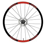 DualColorStampe