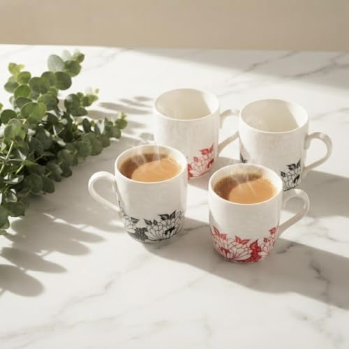 Image of Dandy Lines New Ray Garden Grace Tea Cup and Saucer Set, Black /Red, Luxury Cups with Saucers, Ceramic, Pack of 4, Microwave & Dishwasher Safe, Great for Hosting & Gifting