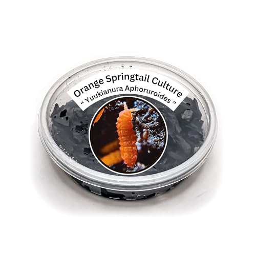 Creation Cultivated - 25ct Orange Springtails Live (Yuukianura Aphoruroides) - Insect Culture Clean Up Crew for Bioactive Terrarium Vivarium