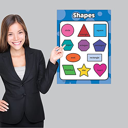 Palace Curriculum Shapes - Educational Poster Chart Laminated Double Sided (18 x 24)