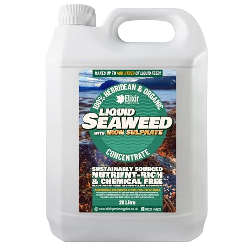 Elixir Gardens | Organic Hebridean Liquid Seaweed Fertiliser with Added Iron | 500ml - 20L Options Available | 20 Litre Bottle