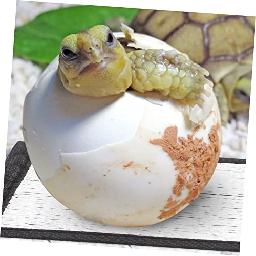 3pcs alfombrilla térmica reflectante para reptiles miniatura 7