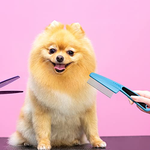 Flea Comb Lice Comb Dog Comb Cat Comb Cat Tear Stain Comb Stainless