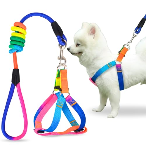 Image of A+a Pets' Harness and Leash Set | Colourful Combo in Rainbow for Cats and Dogs (S)