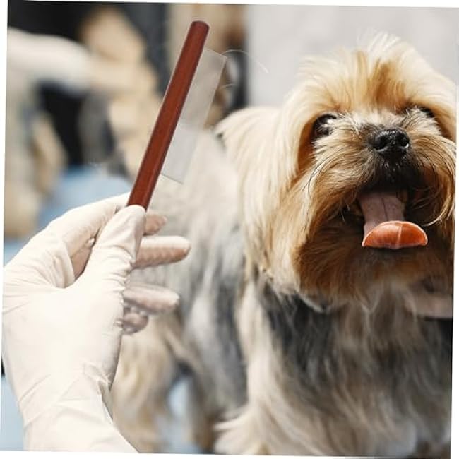 3pcs Tear Stain Brush for Small Dogs Cat Grooming Supplies Dog Grooming Combs Pet Comb Wooden Handle-ONFwdpK0