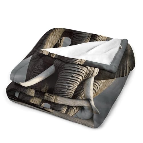 Couverture éléphant plaid doux en flanelle, le cadeau de lit idéal - 4