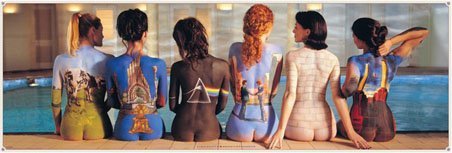 SPEDIZIONE GRATUITA Pink Floyd Indietro Catalogo Poster Panoramico Campagna Musica 158x53cm