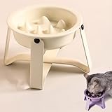 Ifukens 早食い防止 食器 犬 はやぐい防止皿 陶器製猫 食器 可愛い癒し系色ペットフードボウルスタンド付き犬 水飲み器 えさ皿 猫 餌入れ 水入れ エサ皿 給餌器 給水器 セラミックボウル 分解可能 お手入れ簡単 ペット用品（ホワイト）
