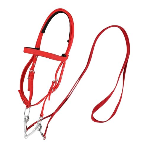 Brida de caballo, cabeza de nailon ajustable, banda nasal acolchada , pequeña/grande, riendas equinas duraderas, cómodo equipo de equitación para hombres y mujeres