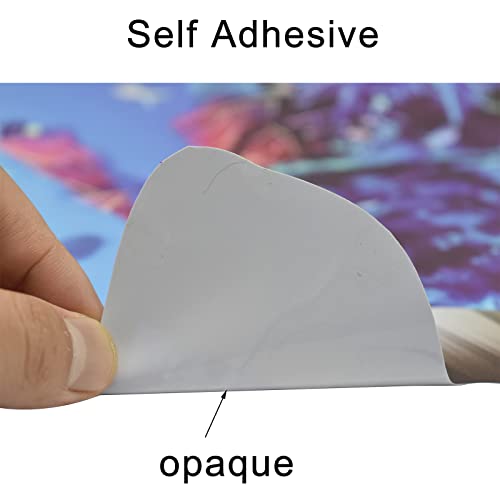 Vinilo decorativo 3D Mundo submarino adhesivo para pared miniatura 5