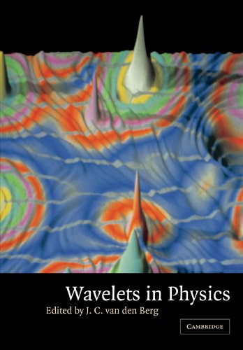 Wavelets in Physics view 2
