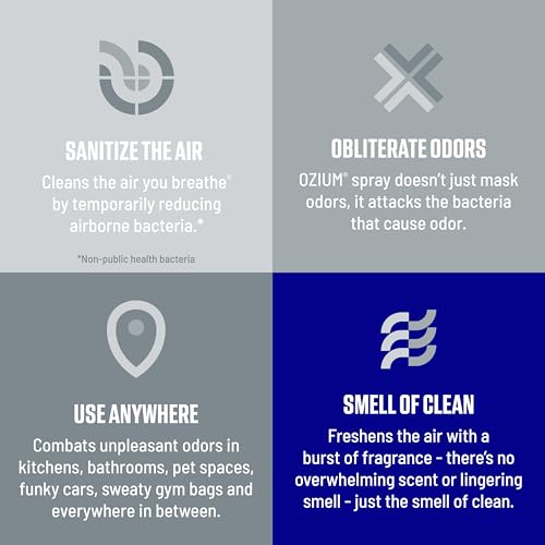 Image of Ozium Air Sanitizer Spray - Room Odor Eliminator for Home, Car, and Office - New Car - 8 oz Can - 1 Pack