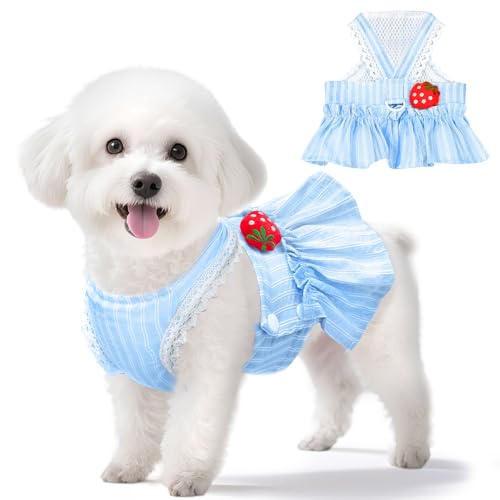 XGDMEIL 킢C`S^hX DOt vZX[X ̎q    t ʋC bV ybg q L n[lX hX V[Y[ [L[ `p(u[AL)