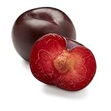 Organic Black Plum