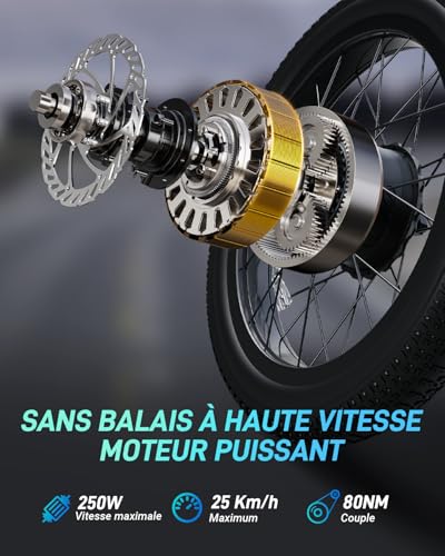 DYU C9 Vélo Électrique,20" Velo Electrique Homme avec 48V 15.6Ah Batterie,748.8WH, Moteur 250W, Ebike Autonomie Jusqu’à 80-150KM,7 Vitesses, Velo Pliant Adulte,VTT Electrique Adulte Femme – Image 4