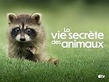  La vie secrète des animaux