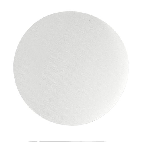 GE Healthcare 5202-150 Grade 202 Qualitative Filter Paper, 15 cm Size (Pack of 100)