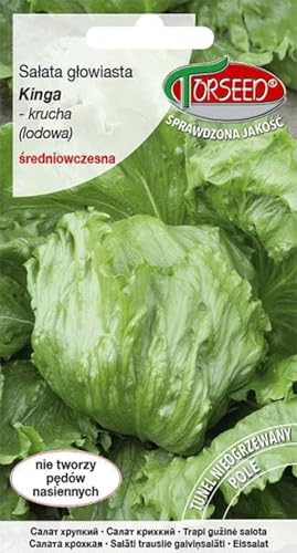 Verdica Kinga Lactuca sativa - Semillas de lechuga iceberg (Lactuca sativa) - Maduración media temprana, cabezas crujientes hasta 1200 g, cultivo durante todo el año, perfecto para túneles y campos