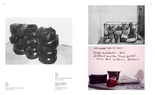 Lois Weinberger: (E/ G) (Zeitgenössische Kunst)