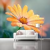 Tapete Fototapete Vliestapete Orange Natürliche Blüten Gänseblümchen Design Optik Tapete 400 x 280 cm, Abnehmbare Wandbild Wandtapete Wasserdicht Wandverkleidung für Wohnzimmer Schlafzimmer Deko