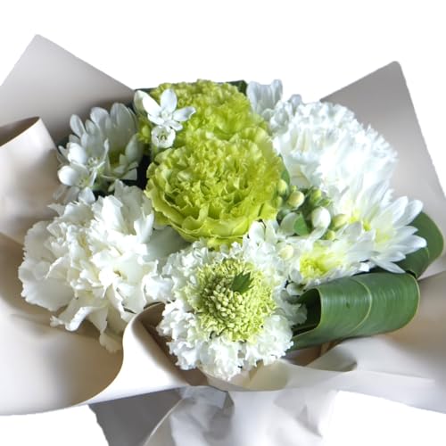 ԓX J[l[VƋG߂̂Ԃ̃t[AWg (zCg/J[l[V/gRLLE) v[g Mtg 蕨 ԑ u[P   AWgt[ j a j wj ̓