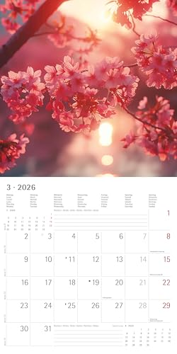 Alpha Edition - Sunny Moments 2026 – Broschürenkalender 30x30 cm – Wandkalender mit Sonnen auf- und Untergängen – Für Natur- & Fotografie-Liebhaber – Mit Platz für Notizen, Feiertagen & Ferienterminen