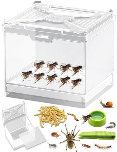 Cricket Keeper Stackable Insect Habitat for Crickets Dubia Roaches Mealworms Transparent Ventilated Cage Easy Clean Critter Keeper for Reptiles Lizards Snakes Live Feeder Insect Container